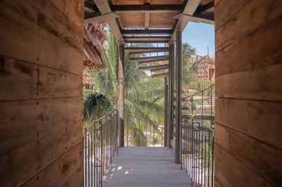 Treehouse Suite