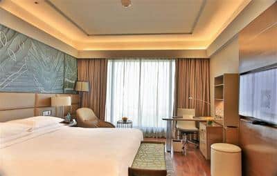 Premier Room