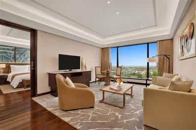 Executive Suite