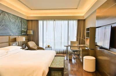 Premier Room