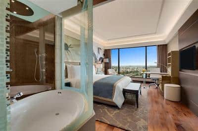 Premier Room