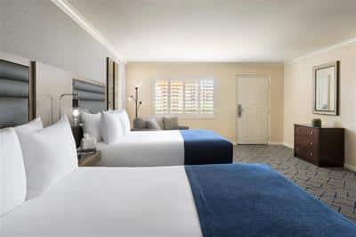 Superior Guest Room Window View