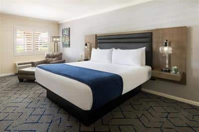 Deluxe King Guest Room Window View