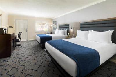Double Deluxe Guestroom Window View