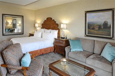 Deluxe King Studio Suite with Sofa Bed