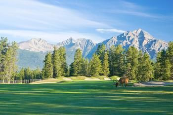 Fairmont Jasper Park Lodge image