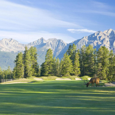 Fairmont Jasper Park Lodge image