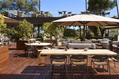 Salazonia Terrace Outside