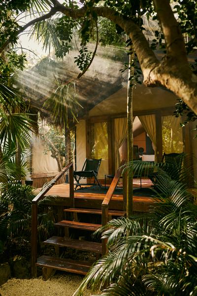Jungle Room