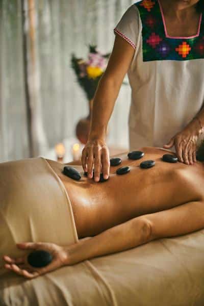 Wellness