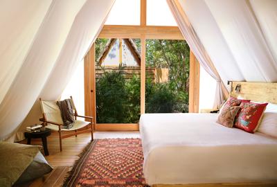 Jungle Room