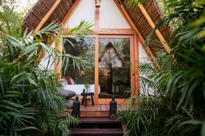 Jungle Room