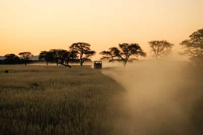 Game Drive