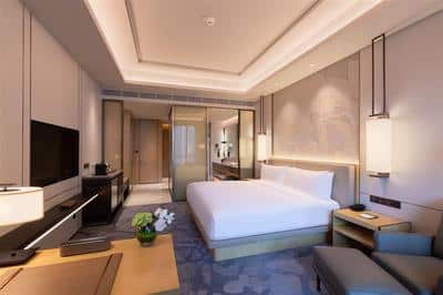 Premium Room with Balcony Garden View King Bed