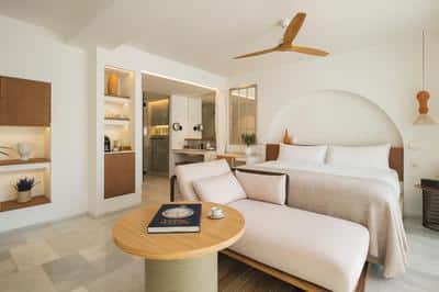 Interconnected Premium Room with Terrace