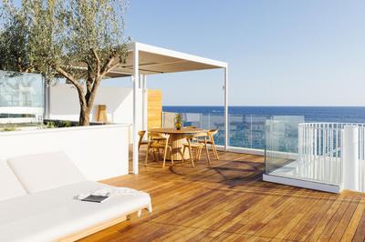 Penthouse with Roof Pool Access