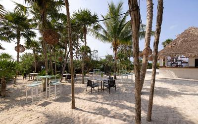 Cocos bar