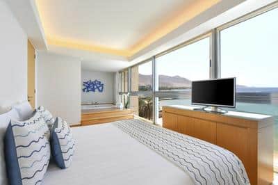 Executive Panoramic Suite