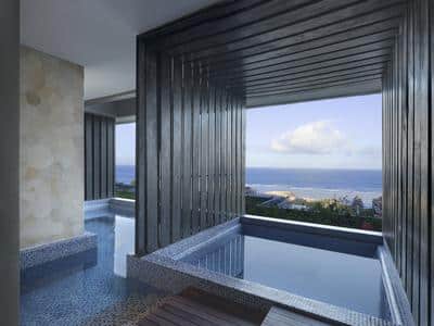 The Apurva Spa