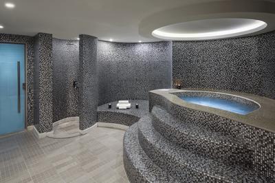 Jacuzzi and Sauna