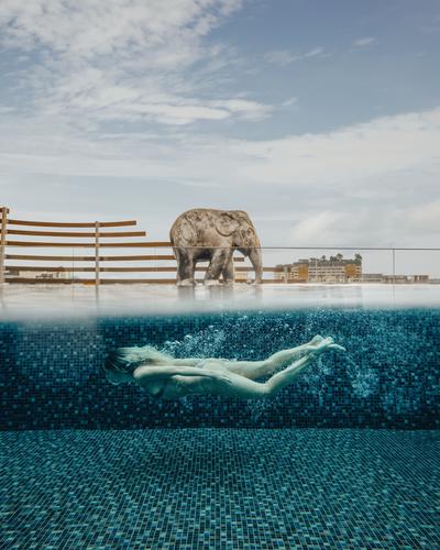 Rooftop Pool