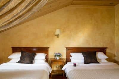 Classic Room forest view