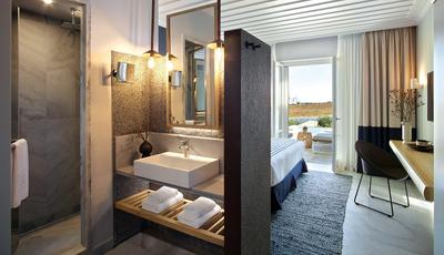 Summer Suite With Private Pool Sea View