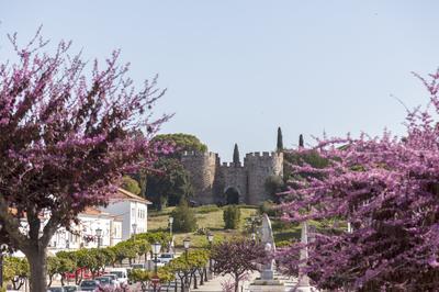 Local Castello