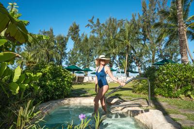 Luxury Cottage Plunge Pool