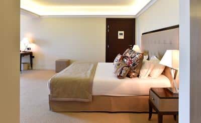 Luxury Suite