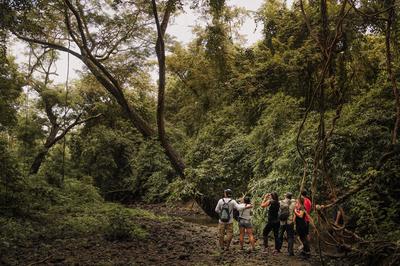 Hiking Trail