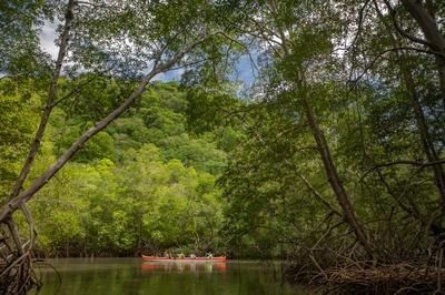 Outrigger Canoe