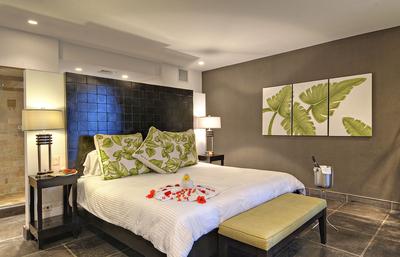 Master Bedroom - King Bed