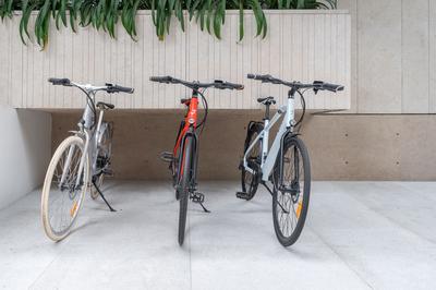Electric Bikes