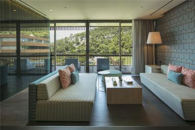 SUITE LAND VIEW