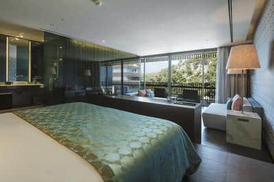 SUITE LAND VIEW ROOM