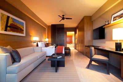 Deluxe King Guest Room