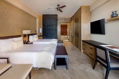 Deluxe Guest Room