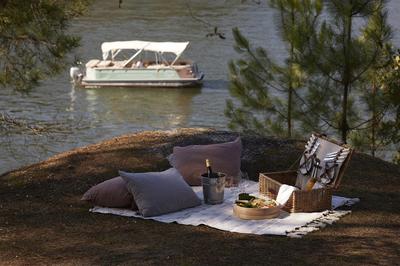 Picnic