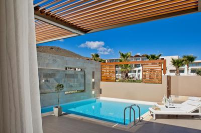 Executive Suite Private Pool
