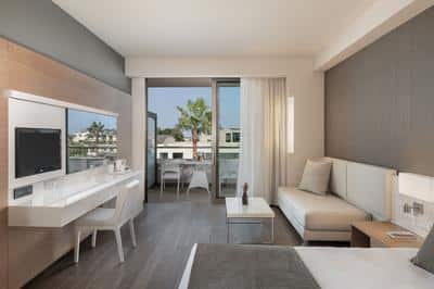 Deluxe Room Pool View