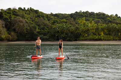 Paddle Boards