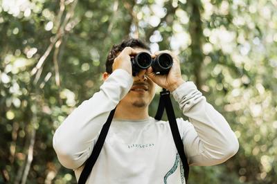 Birding