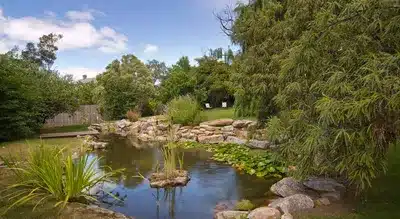 Garden Suite