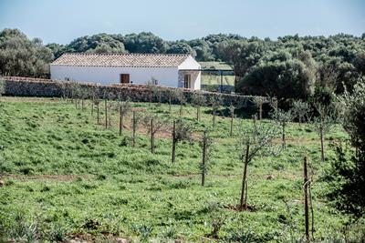 Torre Vella Suite Signature Casita