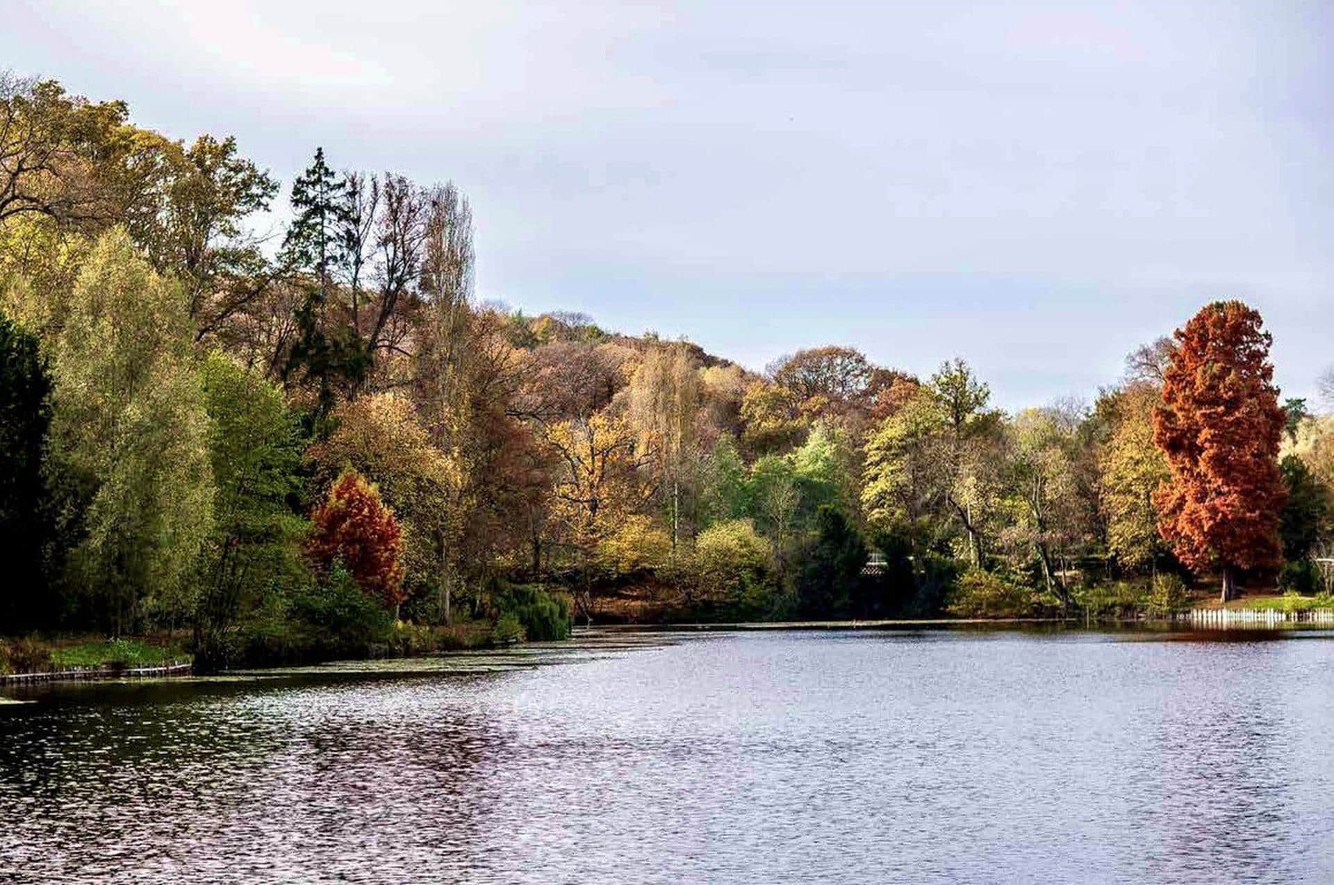 Les Etangs de Corot 