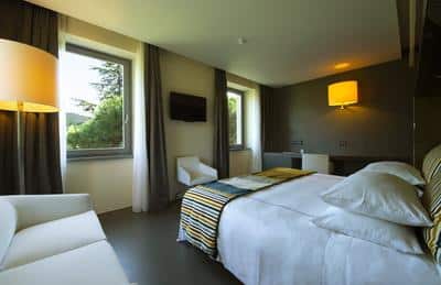 Deluxe Room park view