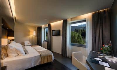 Premier Room park view