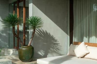 Terrace Studio