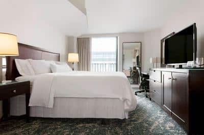 King Atrium Suite